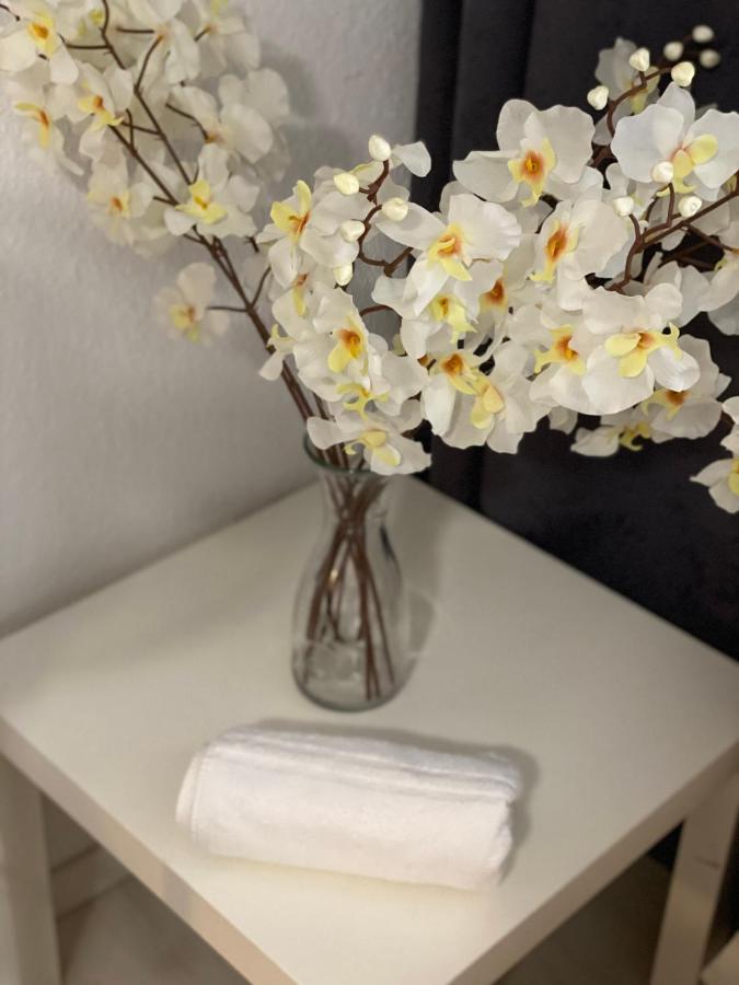Central Shared Apartment, Friesenplatz โคโลญ ภายนอก รูปภาพ